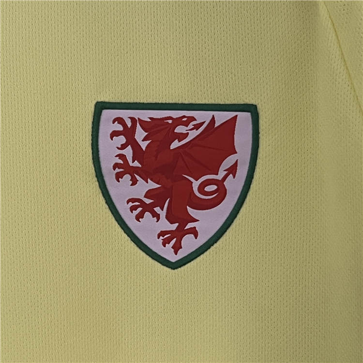 Match Quality UEFA Euro 2024 Wales Football Shirt Away Soccer Jersey
