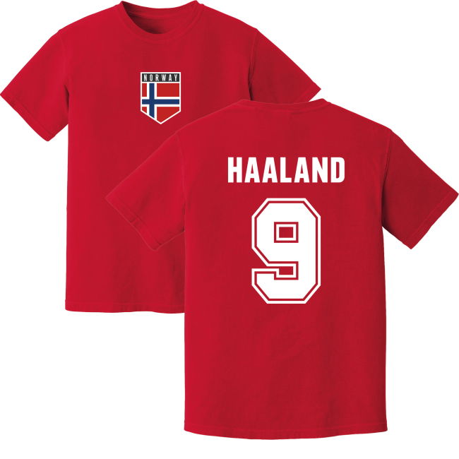 Haaland Norway Training Jersey (Red) Performance Authentic