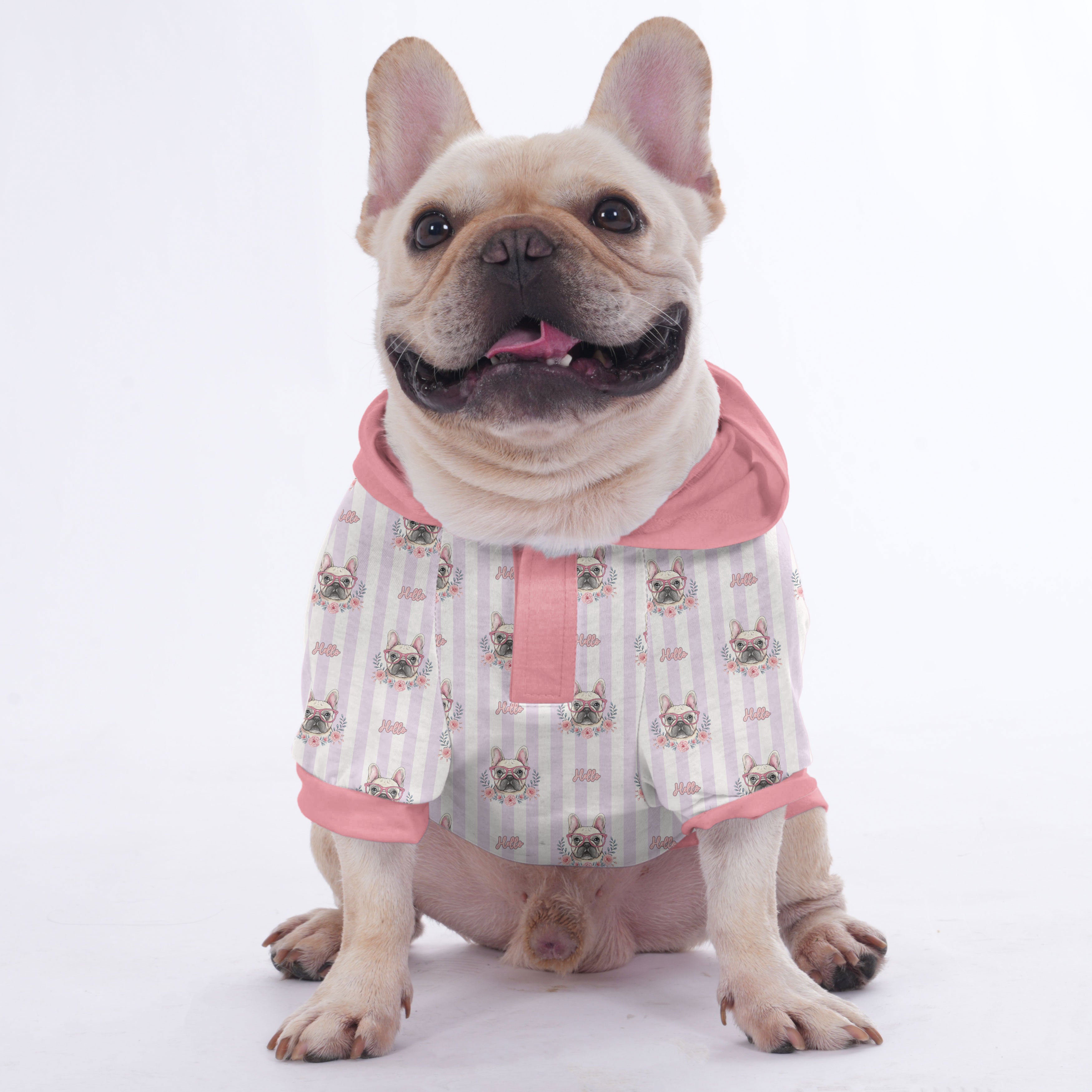 French Bulldog | Frenchie Shop Original For Frenchie Fans | Stylish Look