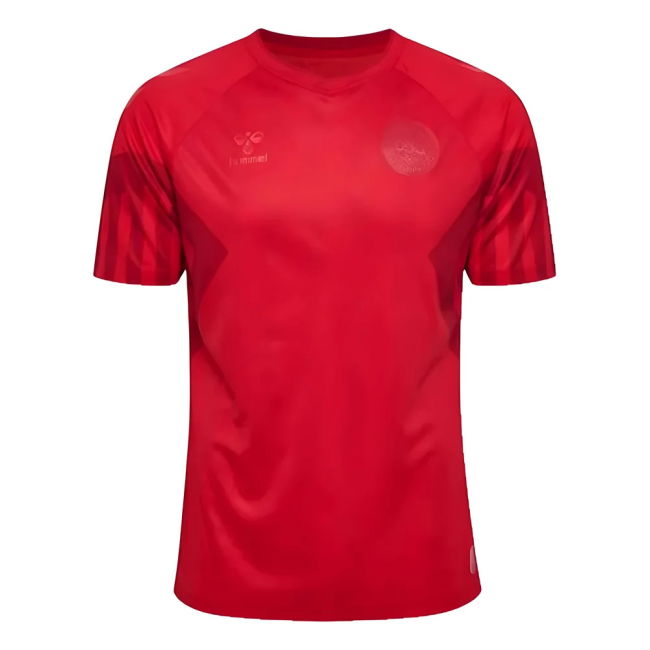Authentic 2022-2023 Denmark Home Official Breathable Football