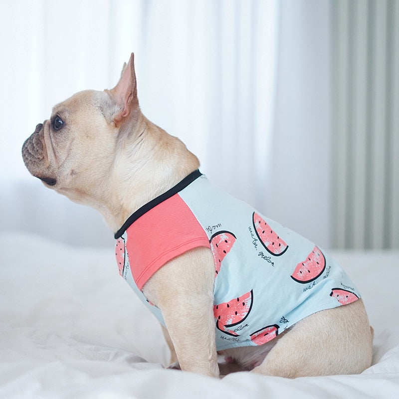 Minimal-Aesthetic Durable Watermelon Shirt For Summer for Dog Owners