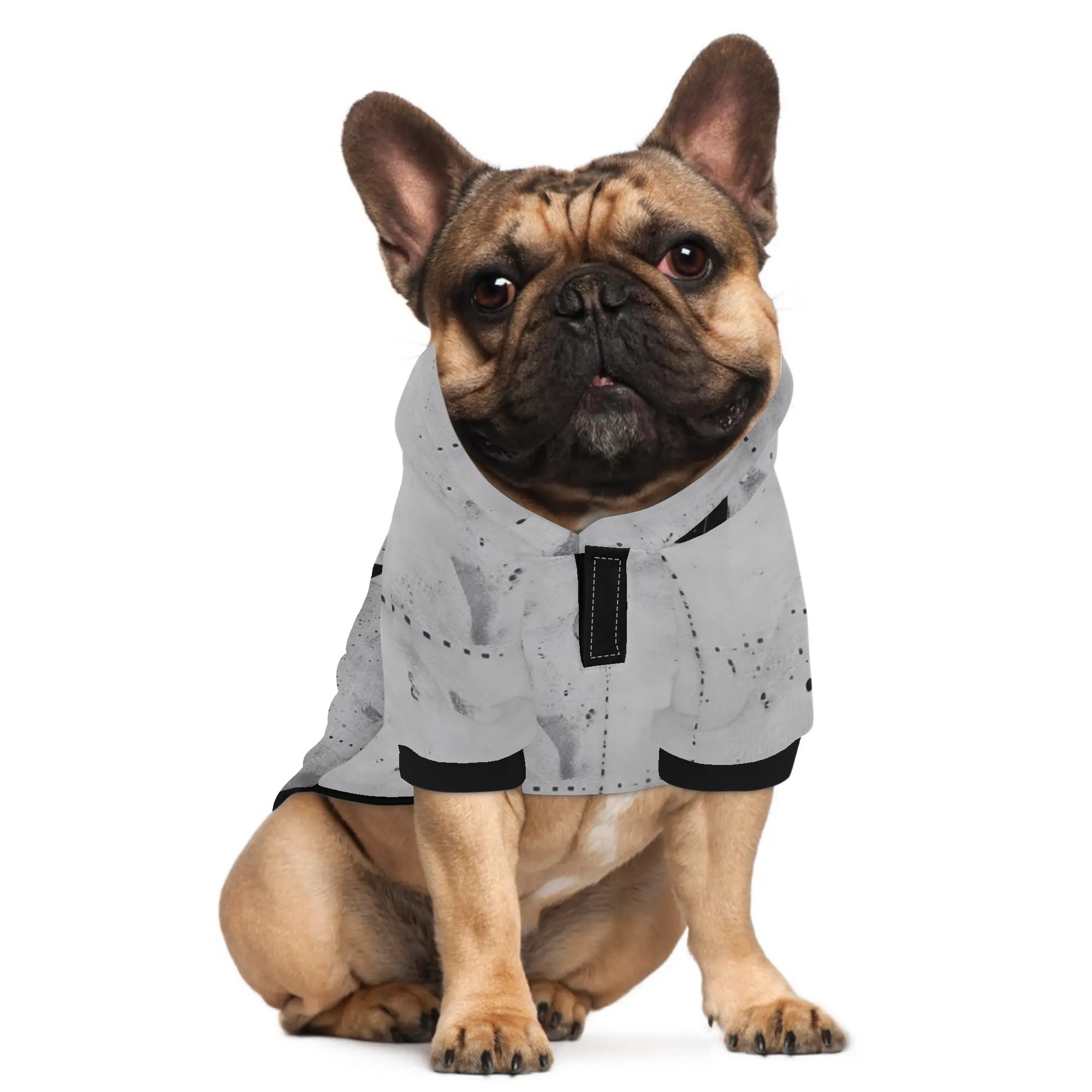 Minimal-Aesthetic Ginger - Hoodies For French Bulldog | Frenchie Shop...