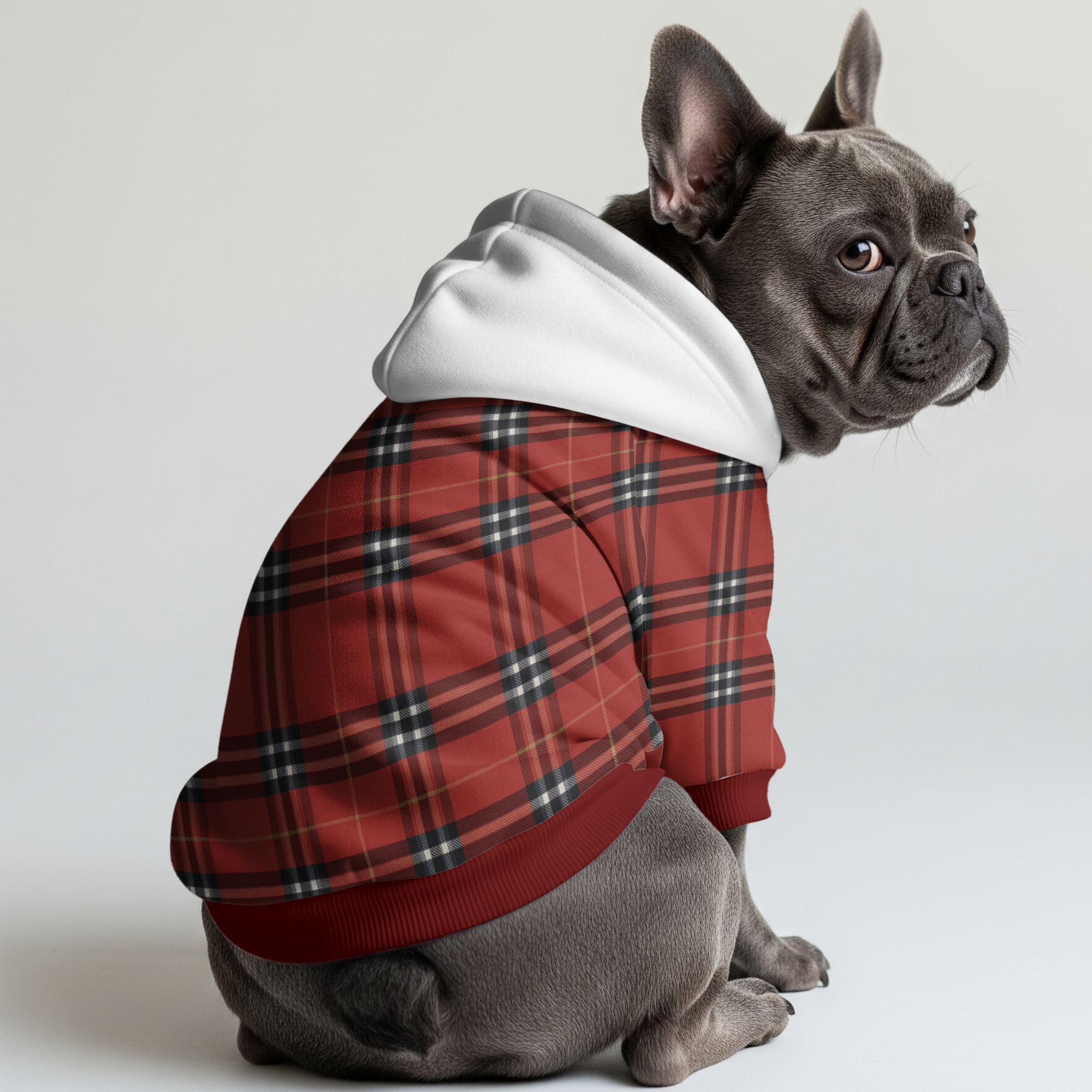 Christmas - Trendy Frenchie Hoodie Frenchie Themed Wear