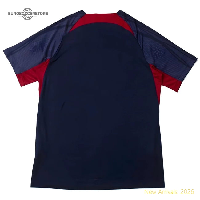 High-Quality 2023-2024 Psg Dri-Fit Strike Training Shirt (Navy)