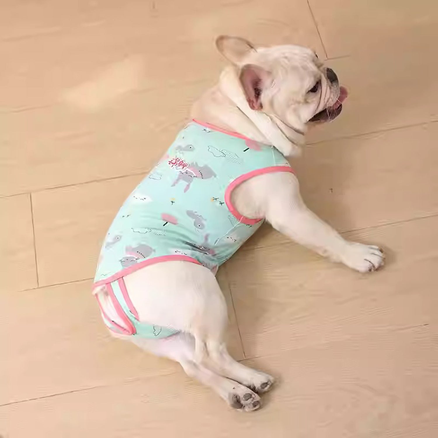French Bulldog Lover Pawjoy French Bulldog Physiological Pants – Cute