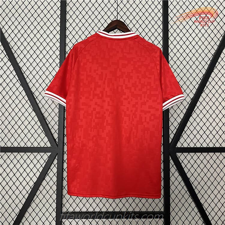 Denmark Football Jersey 2024 Euro 2024 Traditional