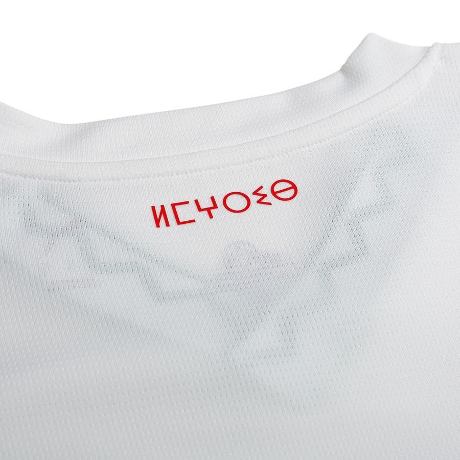 Morocco Away Shirt Africa Cup Of Nations 2025 In Multiple Adult Sizes