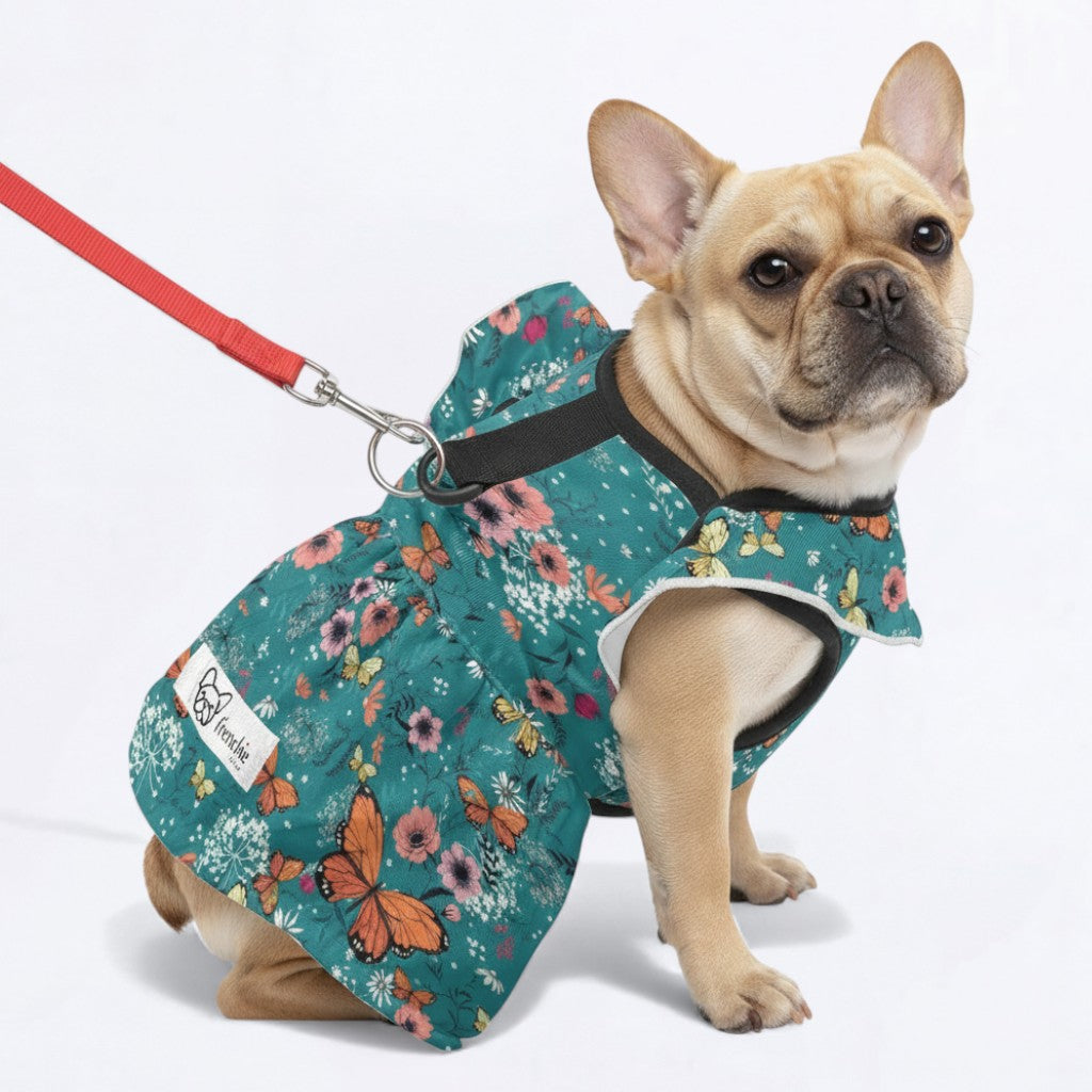 Cleo - French Bulldog French Bulldog Dresses For Females Winter Wear