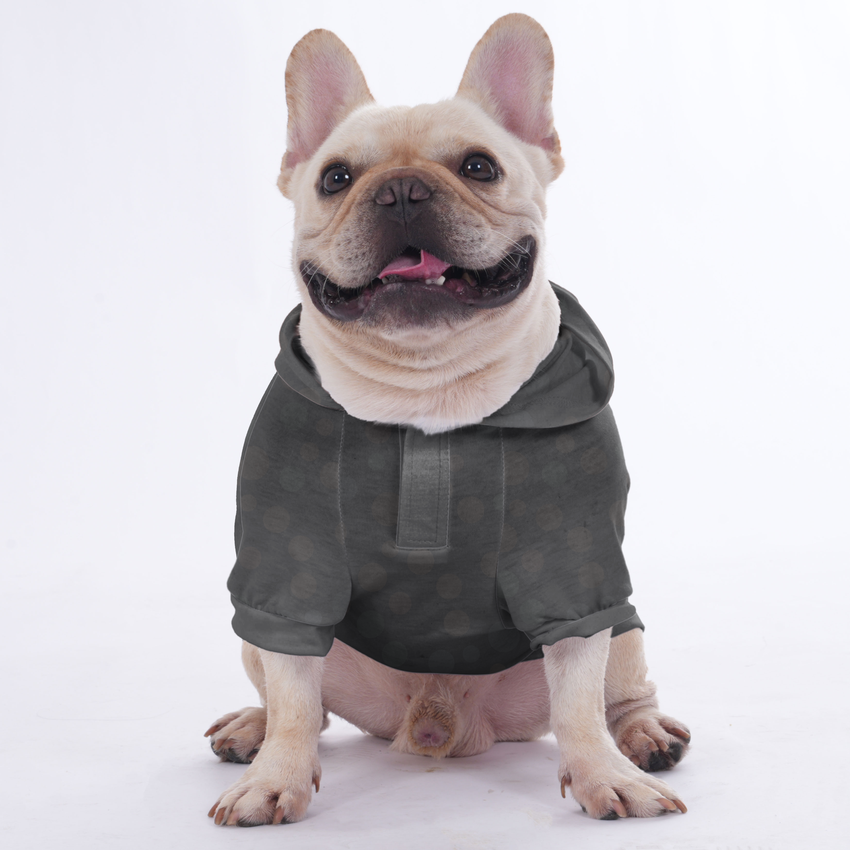 Street-Ready Anti Social Frenchie Club - Hoodies For French Bulldog |...