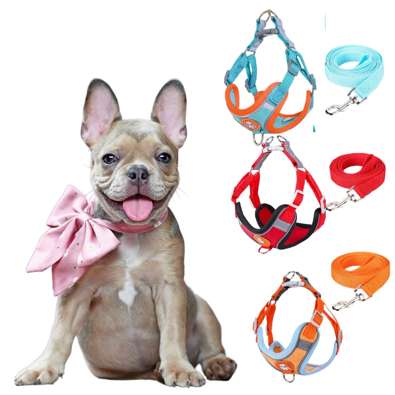 Leash Set – Adjustable Soft Vest No-pull Summer Wear | Safe For Paws
