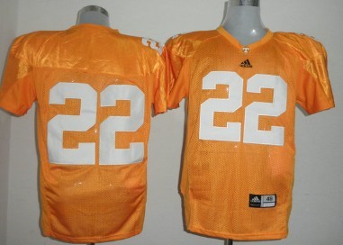 Men's None Orange 2024 home jersey Rod Wilks #22 game jersey Jersey