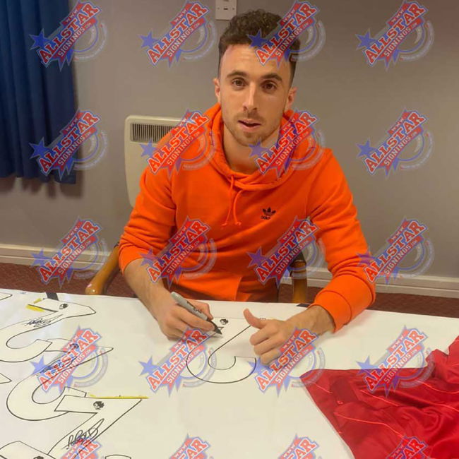 LIV exclusive Third Kit - Adults | high quality | high quality