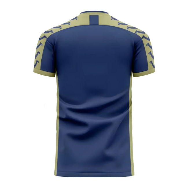 Team Argentina 2025-2026 Away Concept Football Kit (Viper) (Maradona