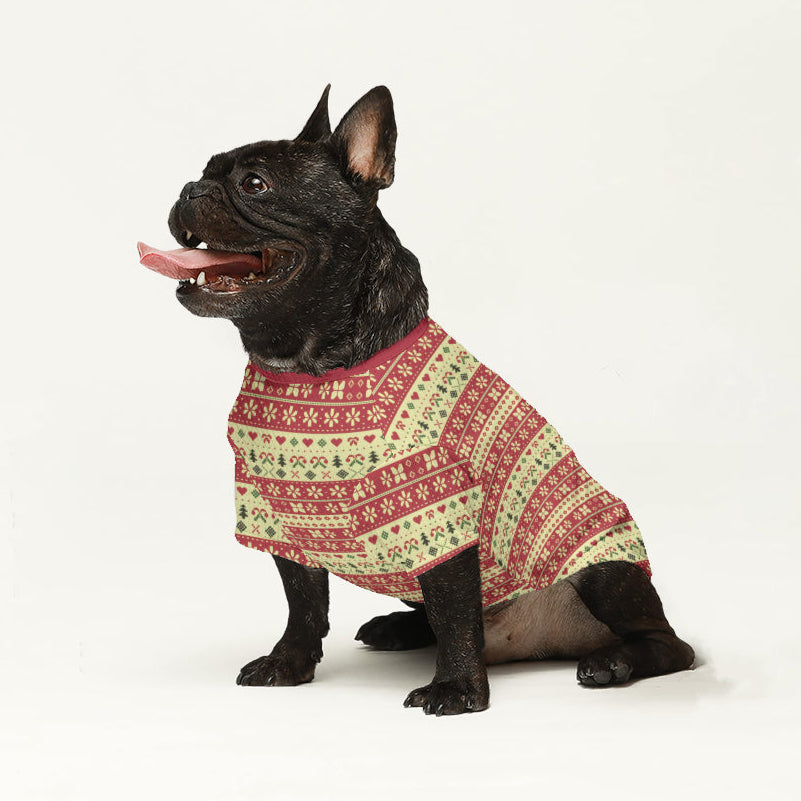 Fashion-Forward Artie - Wool Sweater For Frenchies for Home Use