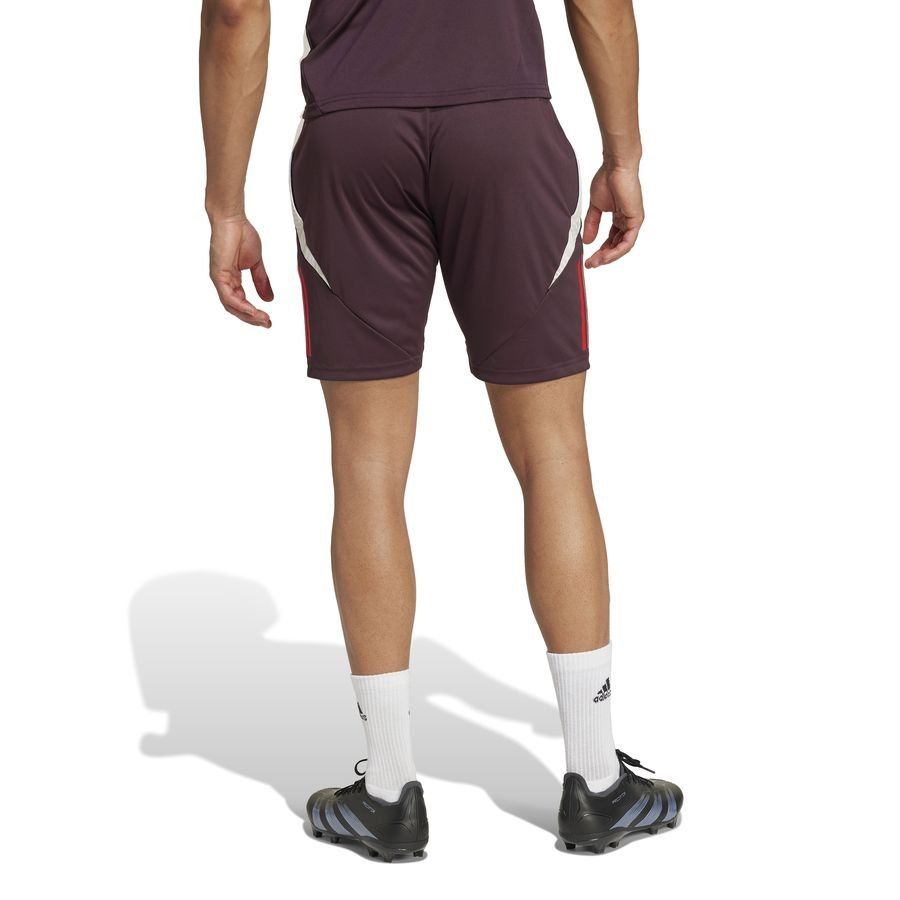 Bayern München Training Shorts Tiro 24 Shadow Maroon/red