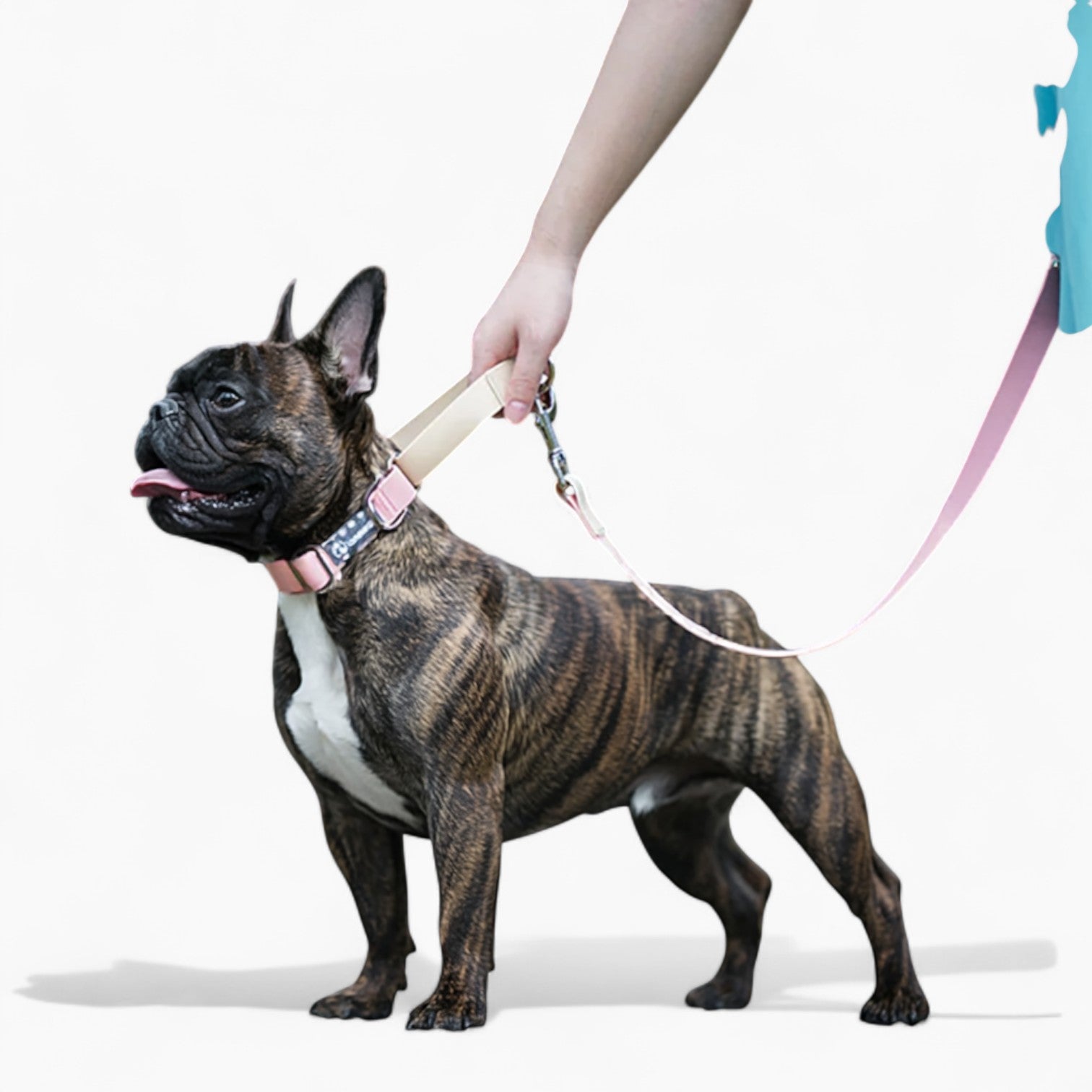 French Bulldog Wetwag French Bulldog Waterproof Collar And Leash Set Practical Dog Gear