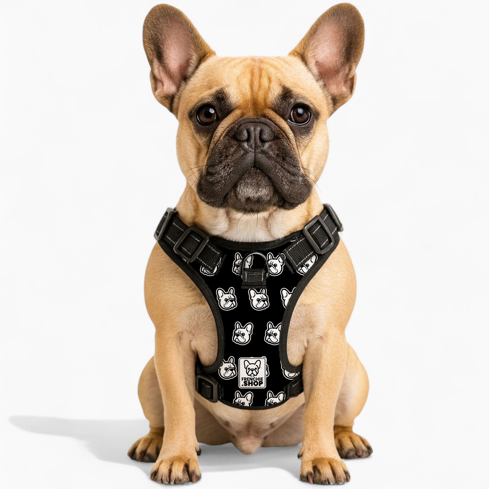 - Safe No-pull French Bulldog Dog Harness Outdoor Use | Vet-recommended