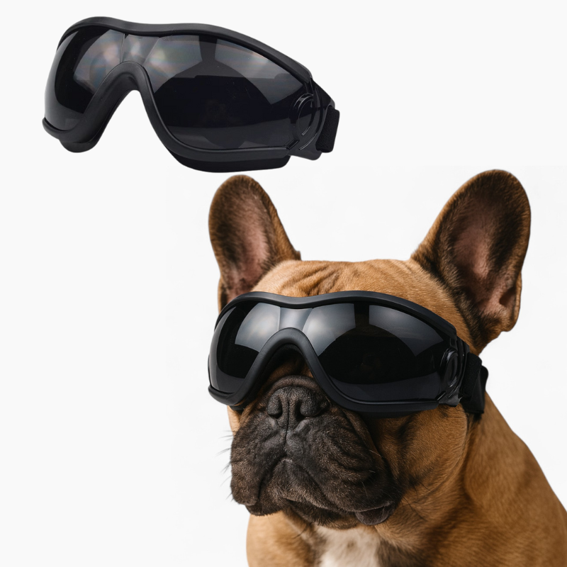 Bulldog Goggles – Windproof Uv Protection Dog Sunglasses Outdoor Use