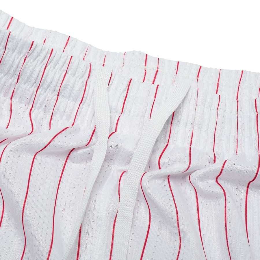 [EFKS] Denmark Shorts Pro Away Uniform 2026/27