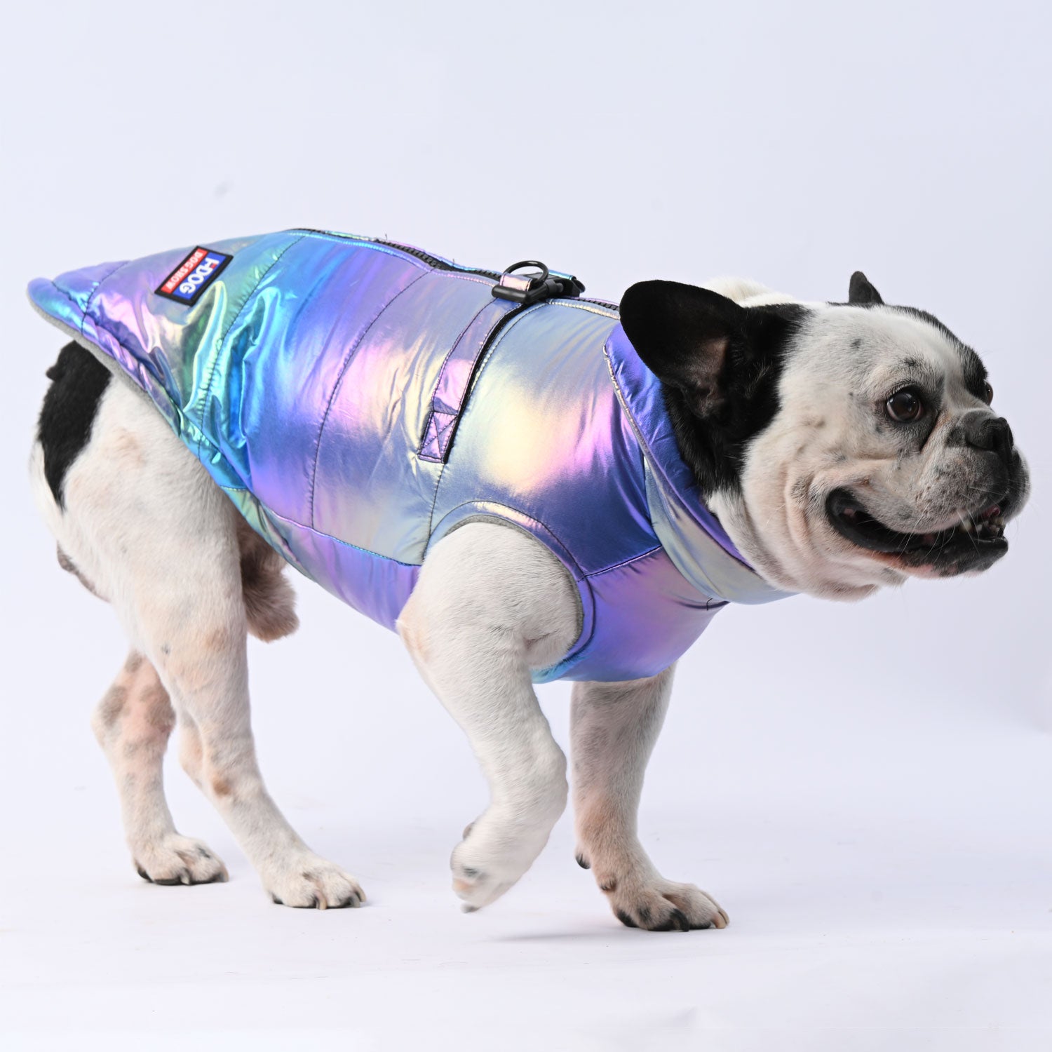 Snow Shield Frenchie Reflective Winter Warm Jacket V1