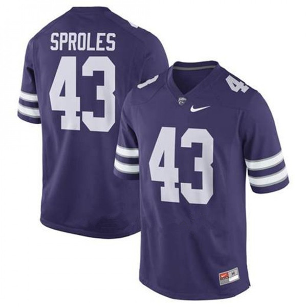 embroidered Men's None Darren Sproles #43 Purple 2024 Football Jersey