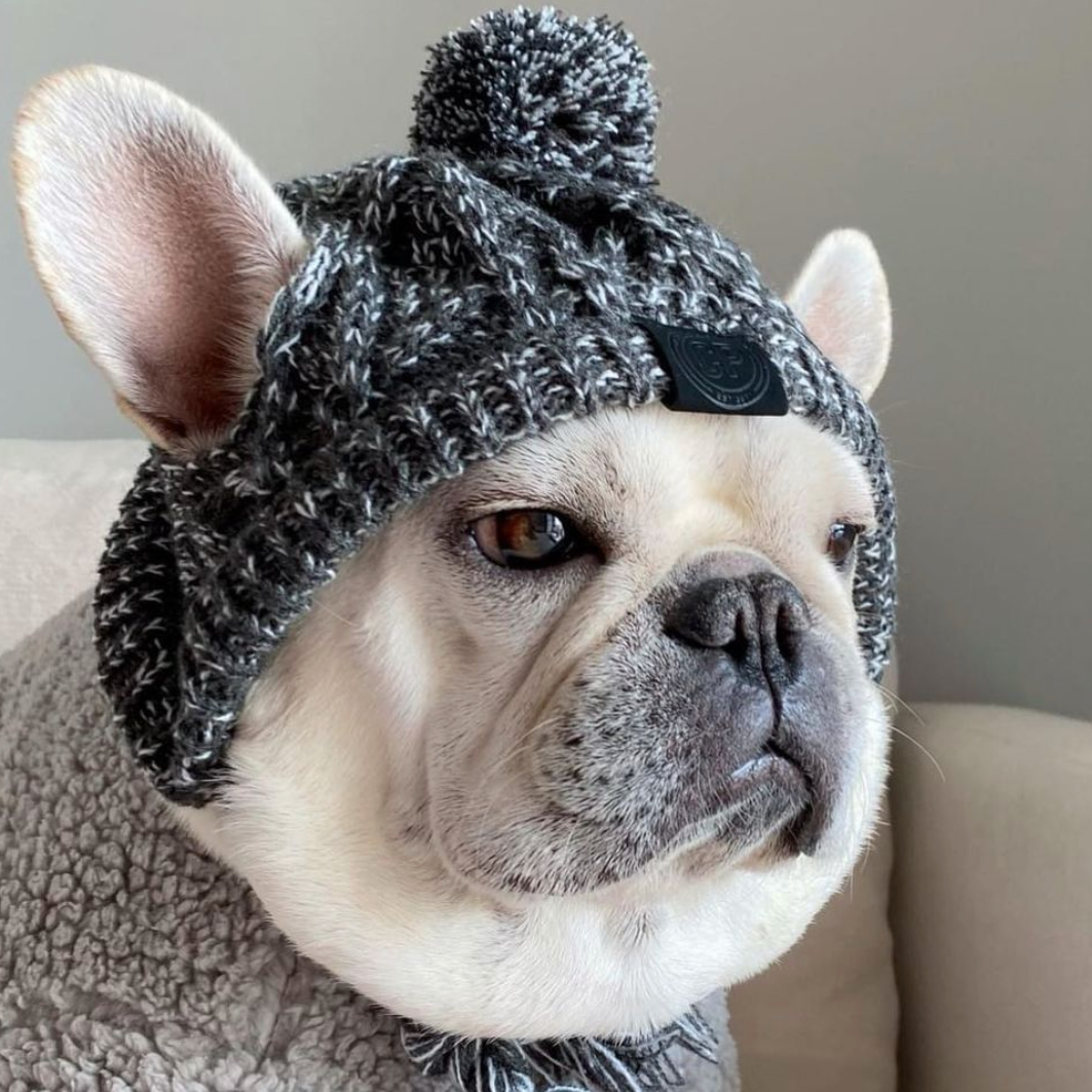 French Bulldog Windproof Woolen Winter Cap For French Bulldog (ws312) Warm Dog Outfit