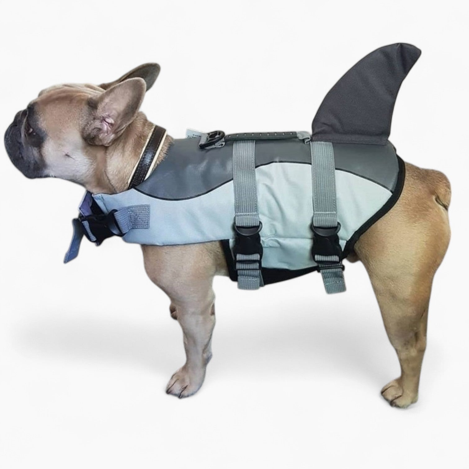 Frenchie-Fan Jacket Swimwear For French Bulldogs : Shark Life Vest (w...