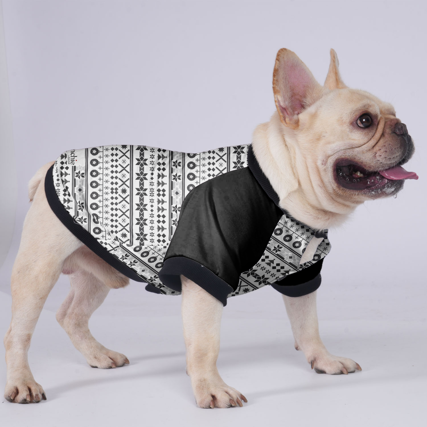 French Bulldog Izzy Jacket For French Bulldog Warm Dog Outfit