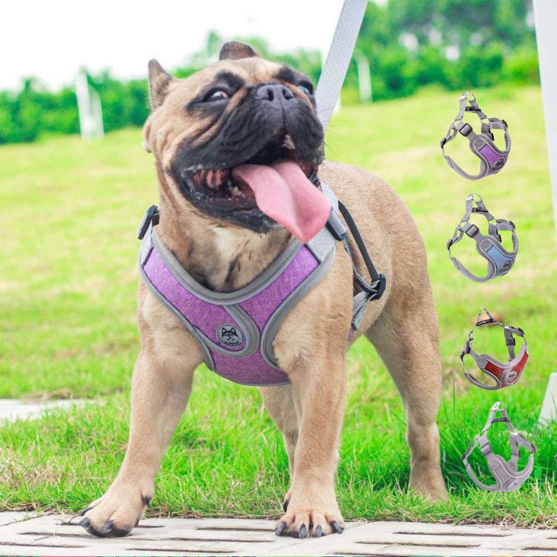 Indoor-Play Pupluxe Reflective Frenchie Harness Adjustable Pet Vest f...