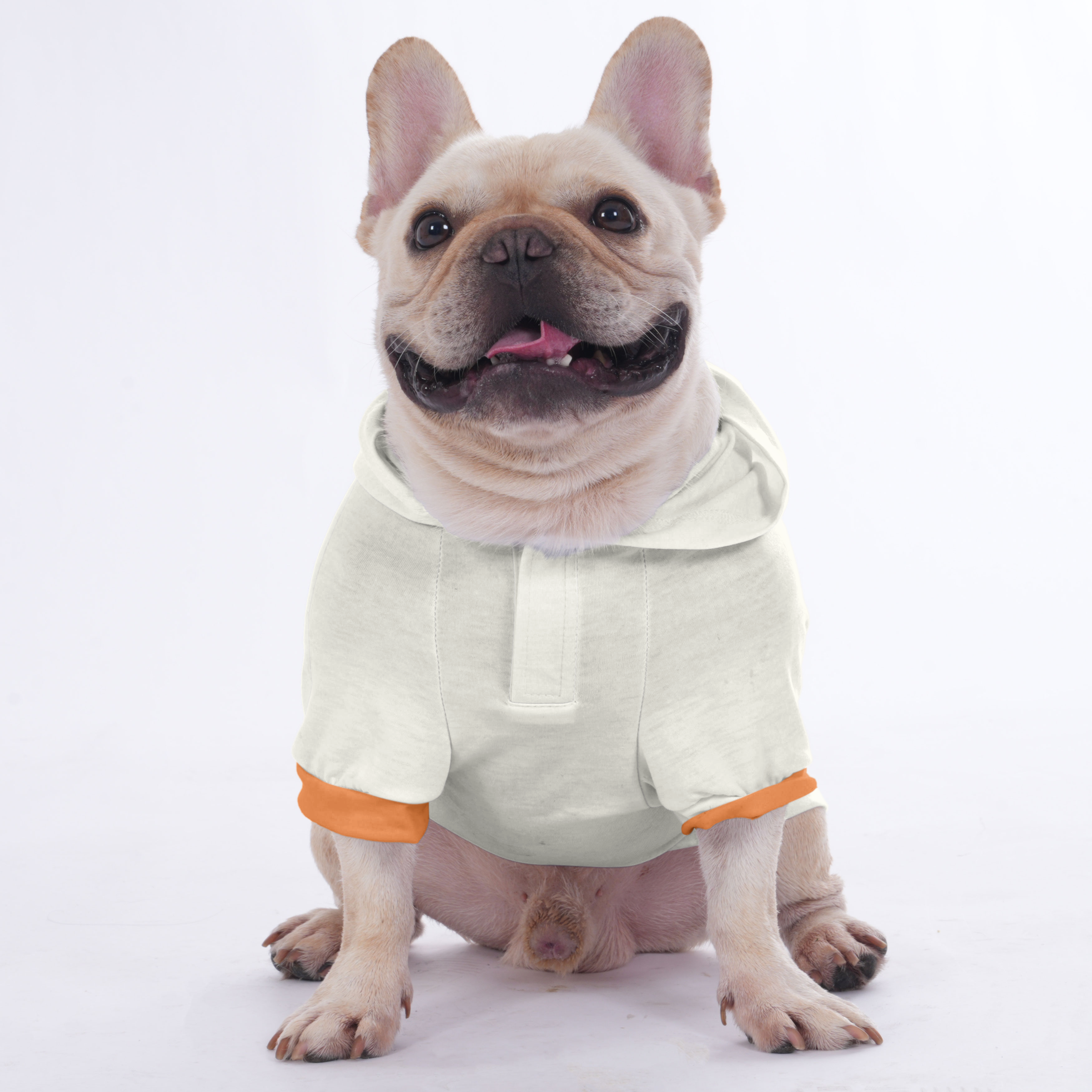 French Bulldog Poppy Hoodies For French Bulldog | Frenchie Shop