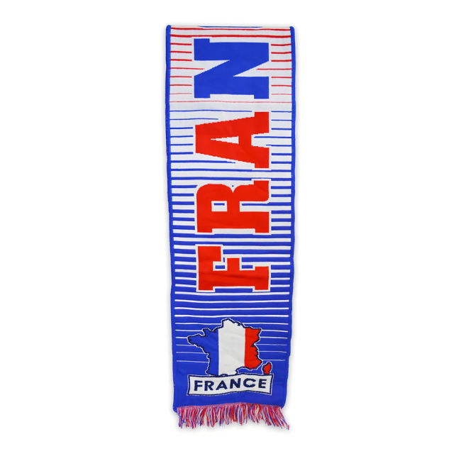 Authentic Replica France Home Replica Jersey for Adults (1)