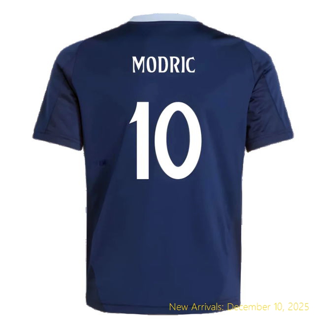 2024-2025 Real Madrid Training Jersey - Professional Match Day...