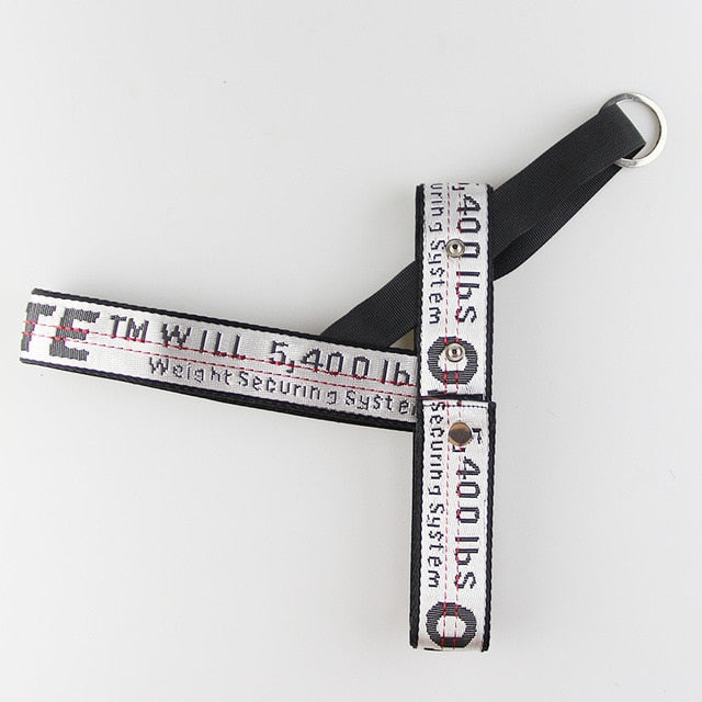 Luxury Leash & Harness Set for French Bulldog (WS311)