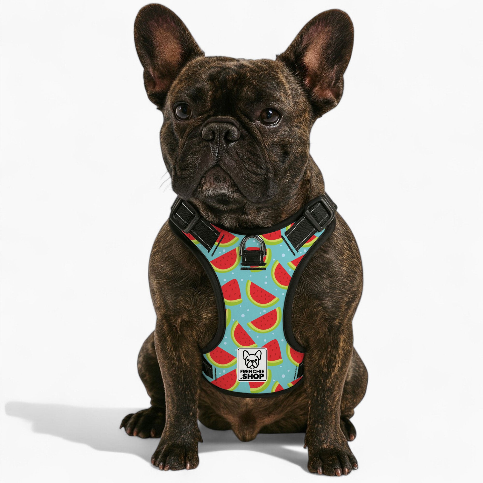 Louis - No-Pull French Bulldog Dog Harness