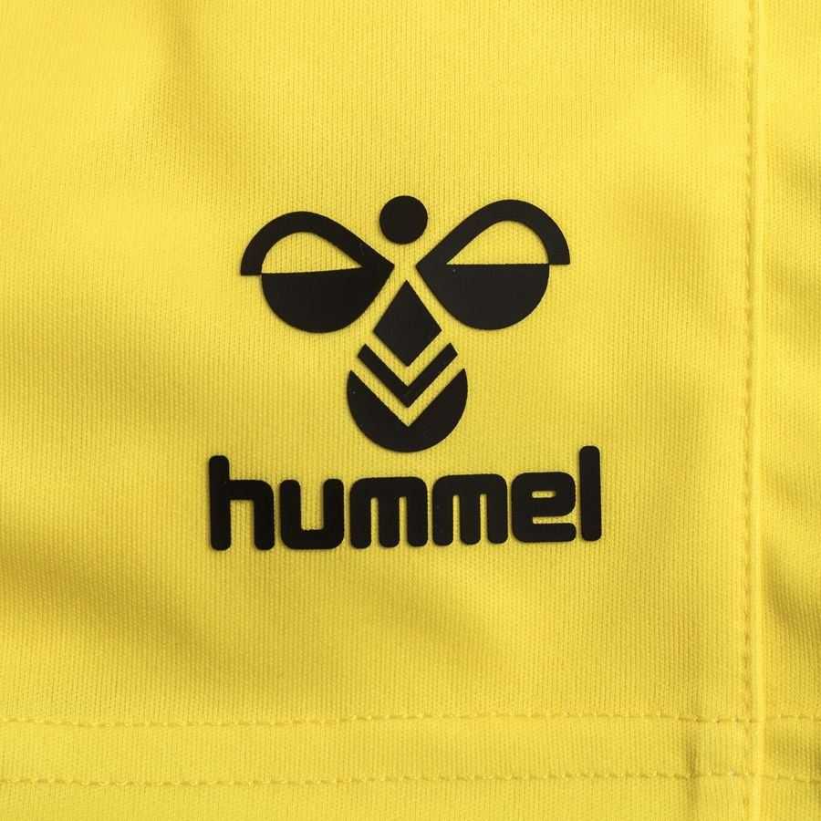 [LK] Denmark Shorts Goalkeeper Uniform 2023/24