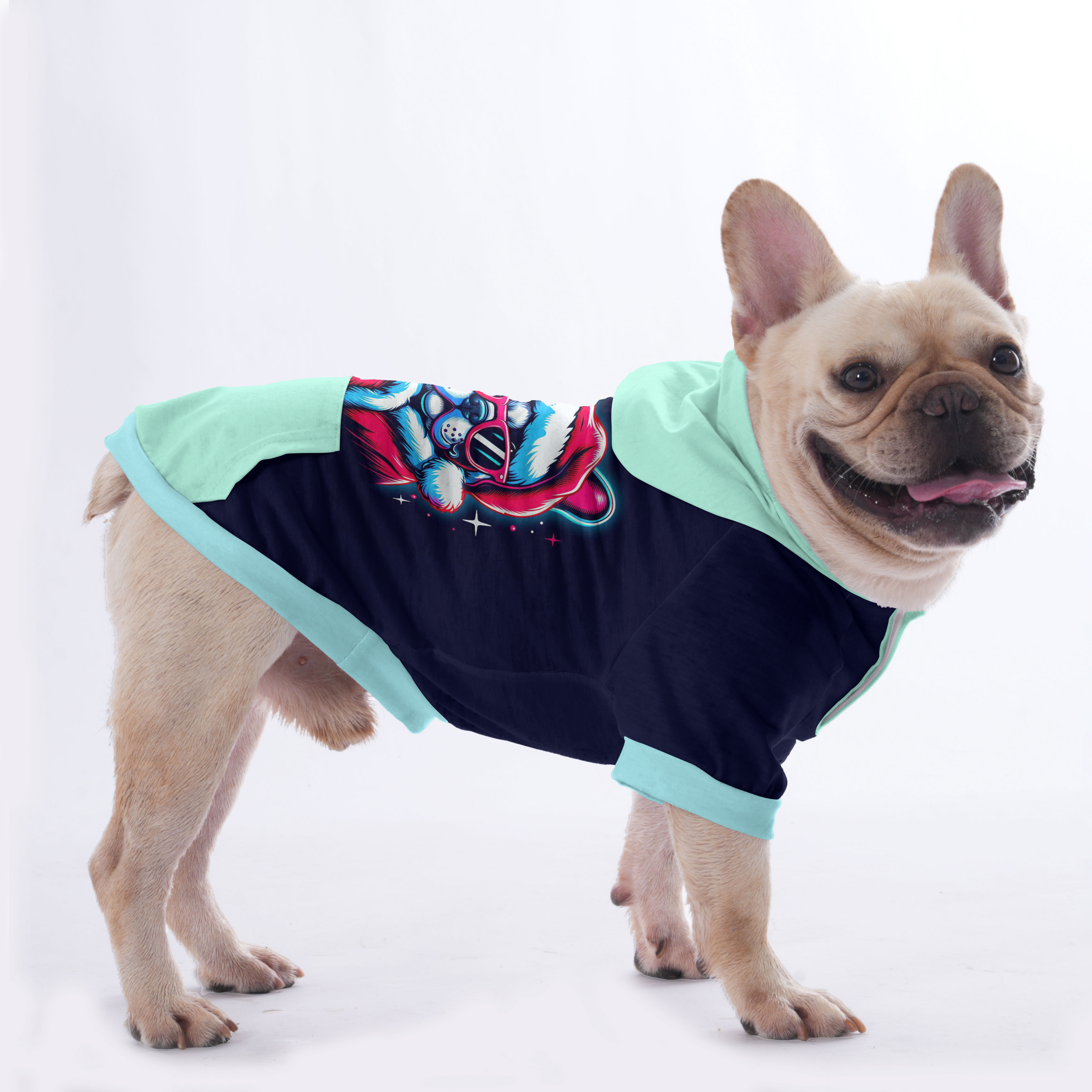 Street-Ready Trixie - Hoodies For French Bulldog | Frenchie Shop Orig...