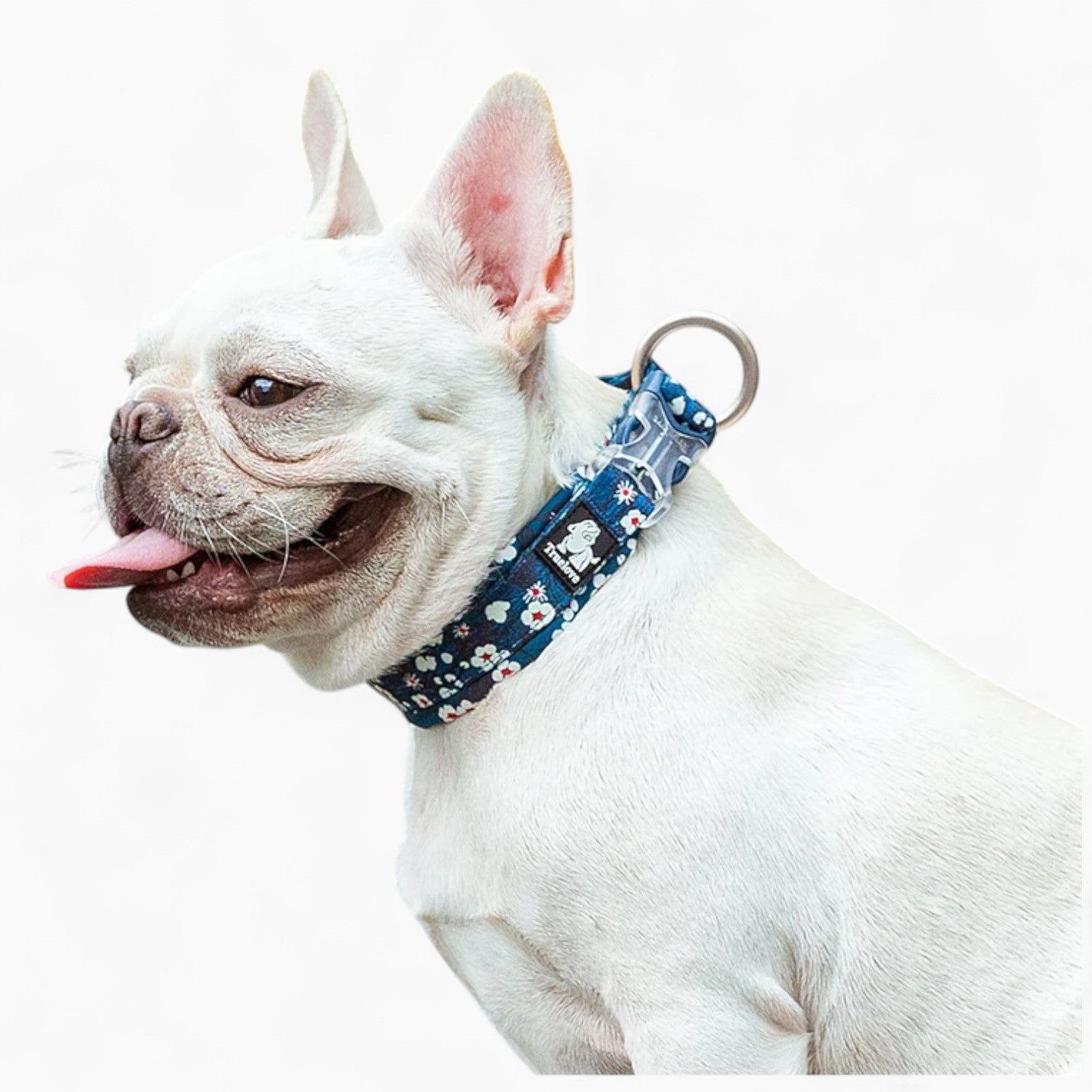 Collar – Stylish Durable Cotton Collar Summer Wear | Durable Build