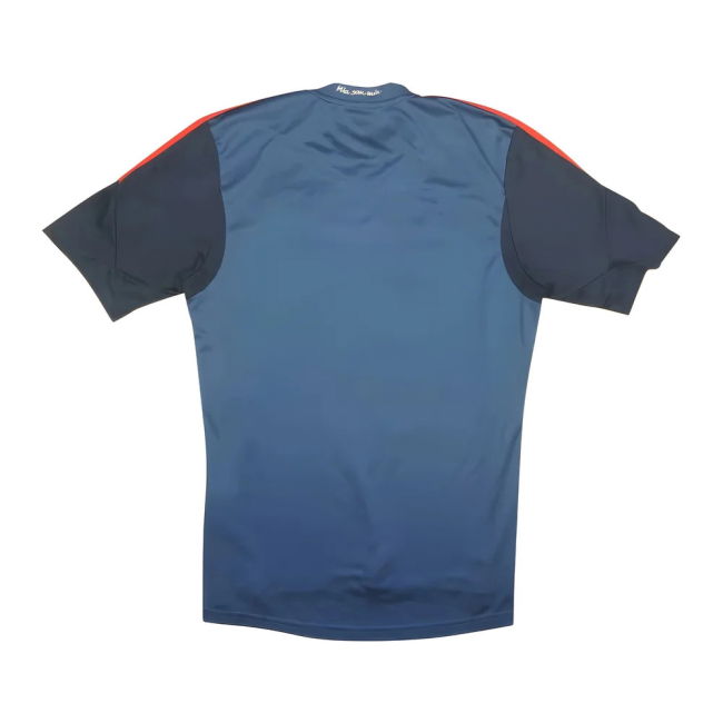 2013-14 Bayern Munich Third jersey - replica performance wear v1.330