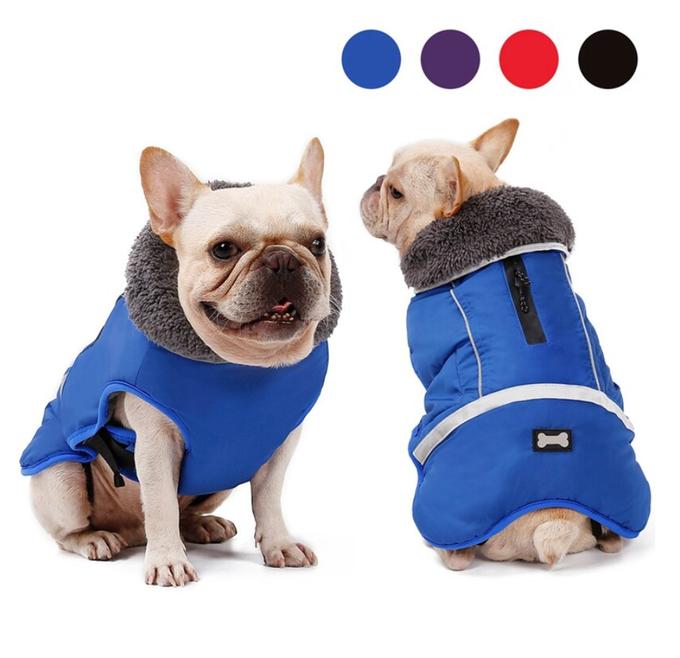 French Bulldog Warm Coat For Frenchie (cs1) Warm Dog Outfit