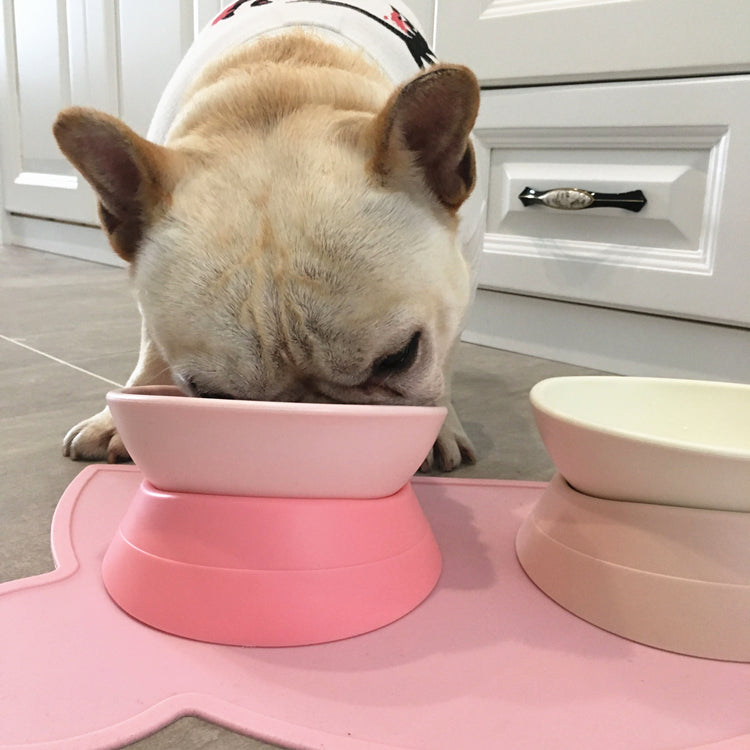 360 - Comfortable Degree Frenchie Bowl Dog Supplies | Non-slip Design