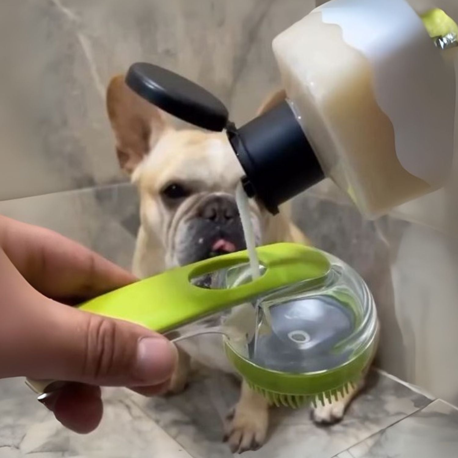 High-Quality Bubbly Frenchie Bath Brush – Soft Silicone Grooming Brus...