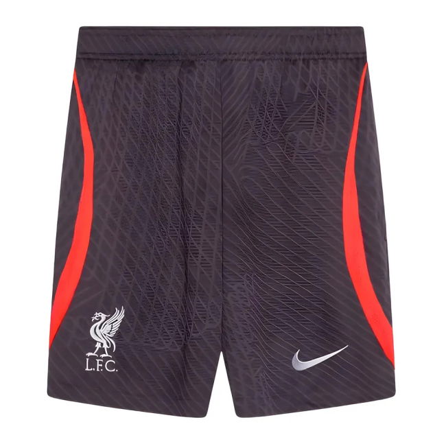 2023-20 Liverpool fashionable Third Football Shirt