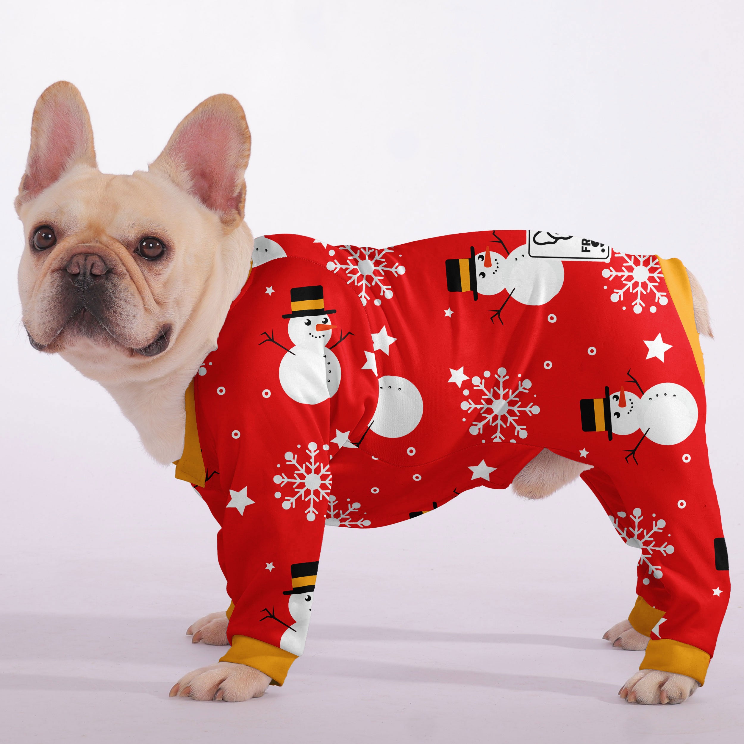 Minimal-Aesthetic Cozy Noodle - Frenchie Pajamas for Daily Life Durable