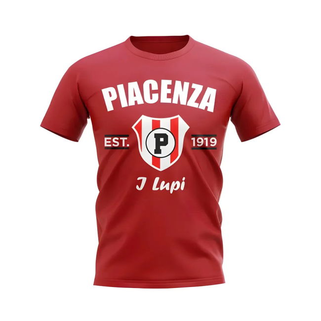 Authentic Football Professional Grade 2024-2025 Season Soccer Jersey