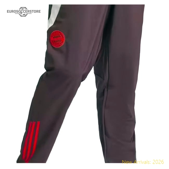 Top-Quality 2024-2025 Bayern Munich Presentation Pants (Shadow Maroon)