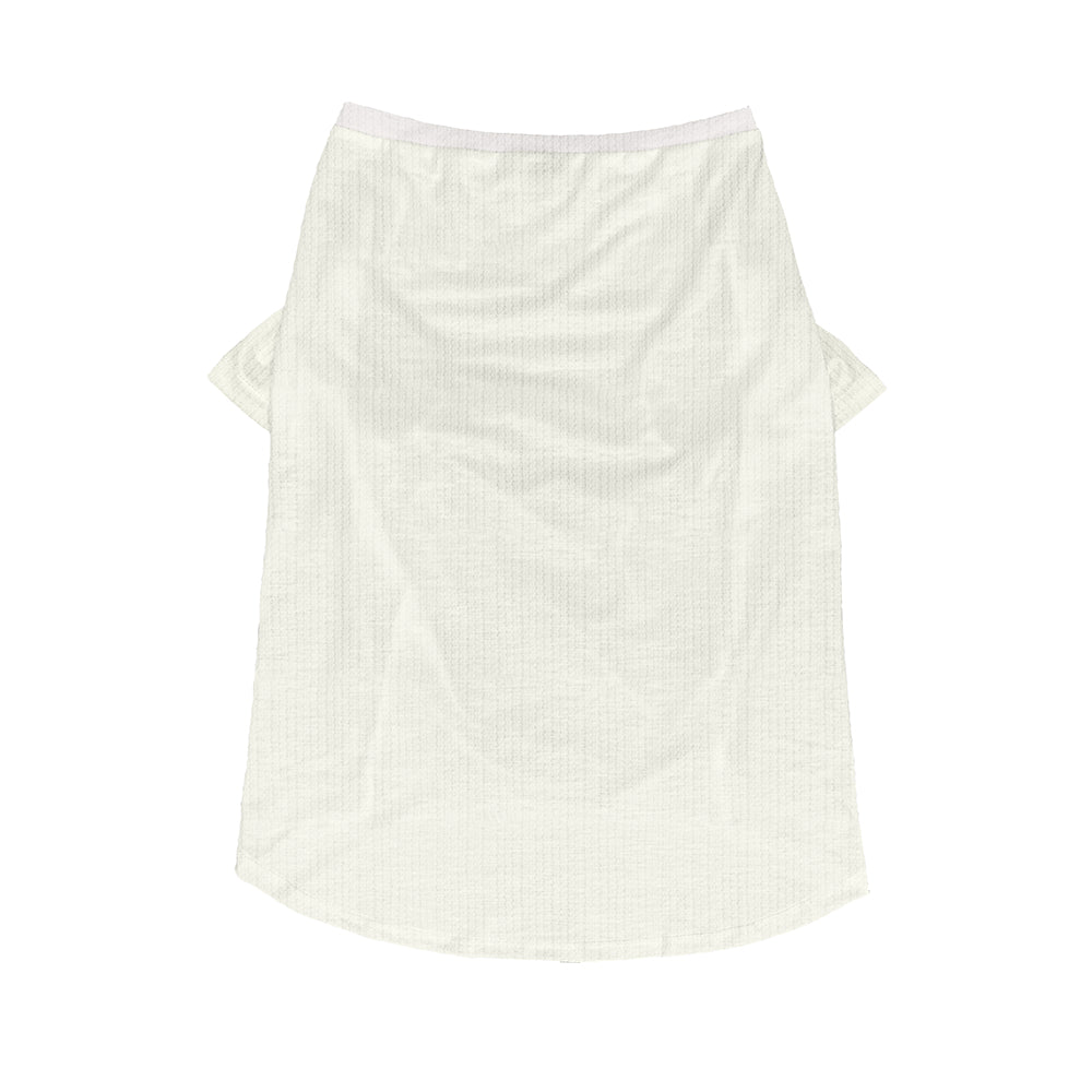 Everyday Comfortable Jawa - Wool Sweater For Frenchies for Daily Life