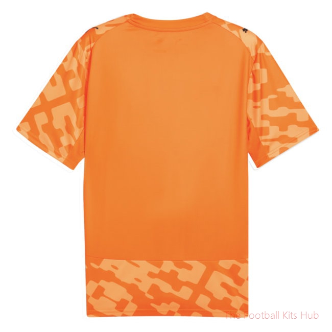 Performance Performance Senegal 2026-2027 Goalkeeper Shirt