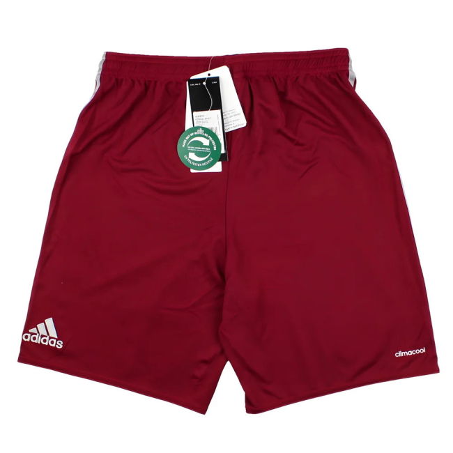 Bayern Munich Training Fan Jersey (Adults) (1)