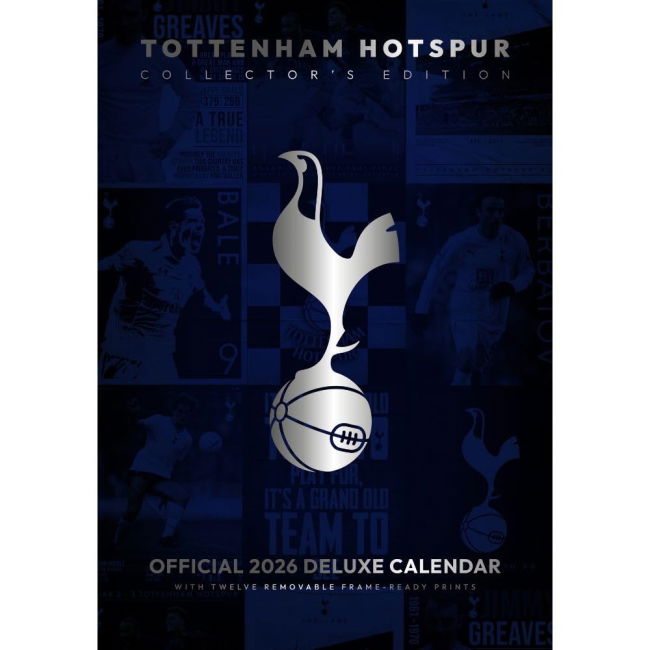 Supporter Grade Tottenham Home Fan Jersey (Adults) (2)