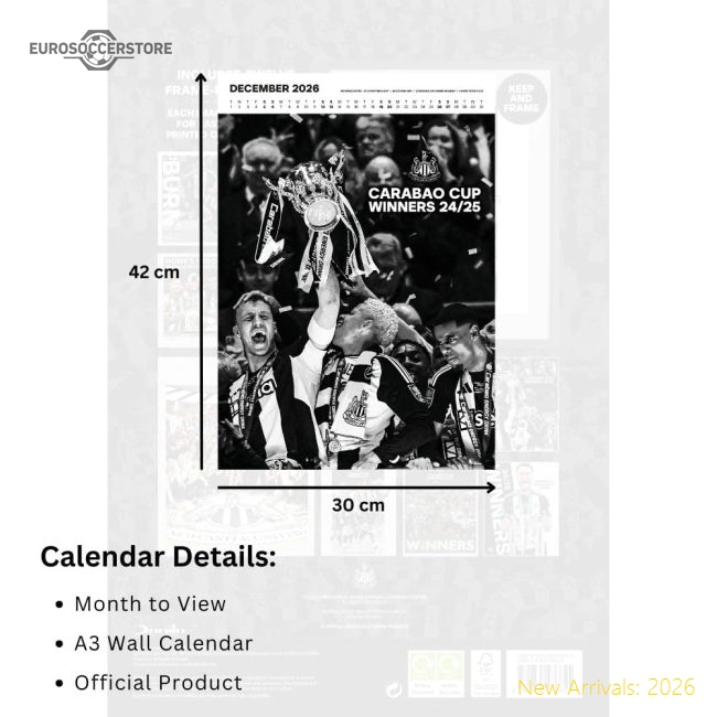 Newcastle United 2024-25 Fan Version For Adults Calendar Football Shirt